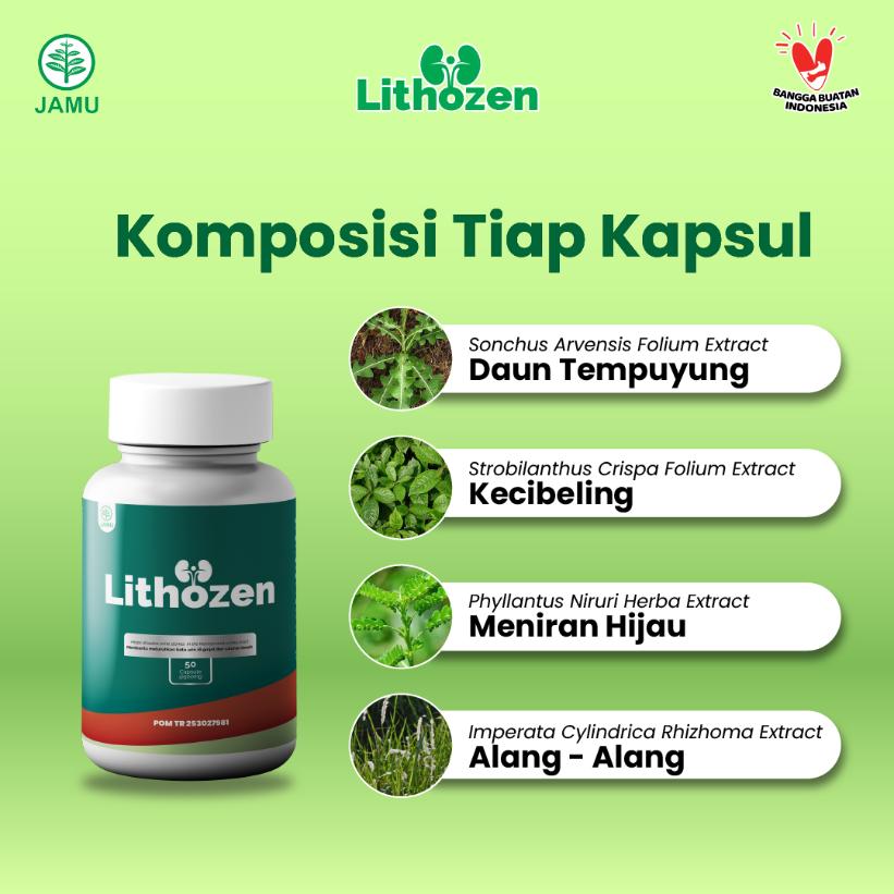 obat batu ginjal obat penghancur batu ginjal obat kencing batu obat batu ginjal ampuh obat peluruh batu ginjal