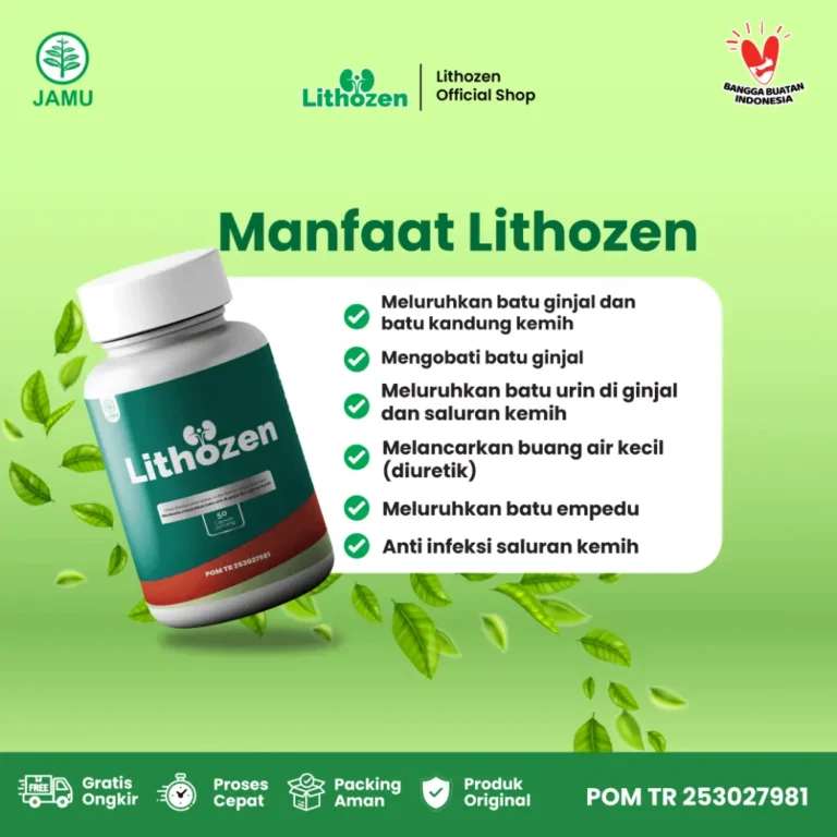 obat batu ginjal obat penghancur batu ginjal obat kencing batu obat batu ginjal ampuh obat peluruh batu ginjal